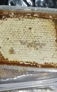 عسل چهل گیاه با موم وبدون موم (حضوری)