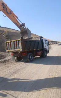 آمیکو