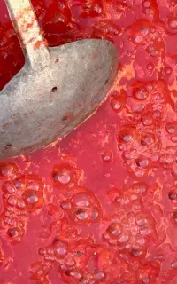 رب گوجه خانگی ترشی خانگی