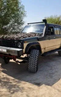 پاترول