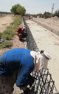 نیروی کار