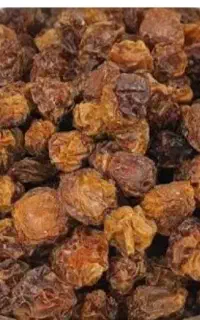 آلوچه برای خشک کردن