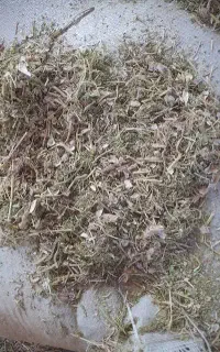کاه گندم و عدس