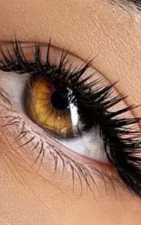 خدمات بافت و کاشت مژه با بهترین متریال در مطهری.