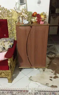 جا کفشی