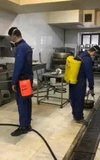 سم پاشی خانه .اپارتمان ،باغ و