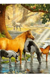 فرشینه