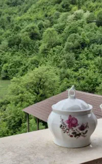 اجاره ویلا  ییلاقی وجنگلی تلار ماهیان