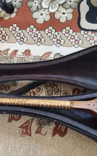 سه تار حرفه ای