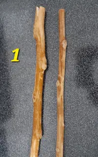 چوب نشیمن طوطی سانان و پرندگان زینتی