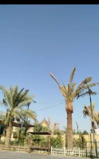 مشهدمقدس