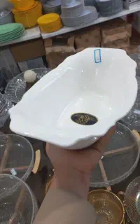 ظروف سرامیکی