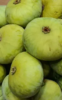 انجیر تازه وشیرین