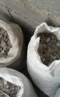 کود کبوتر زیل کبوتر