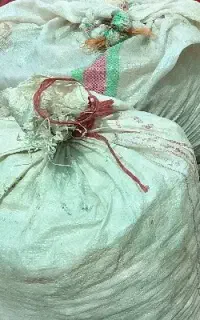 نون خشک