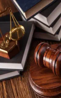 وکیل دادگستری /موسسه حقوقی/تیم تخصصی وکلا
