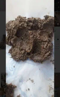 کمپوست ،کود،کریت،روغن بخونن ارزان