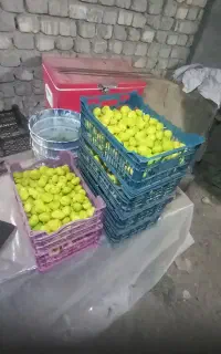 انجیر روز تازه و انگور قرمز