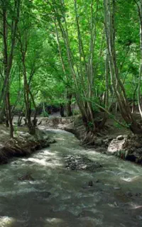سفر یک روزه به ارتکند
