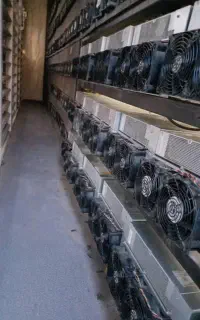 خریدار دستگاه زی کش