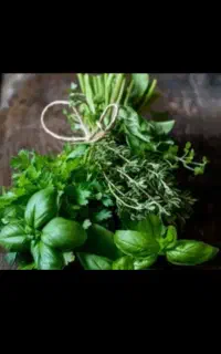 سبزی خوردن خورشی اشی قلیه