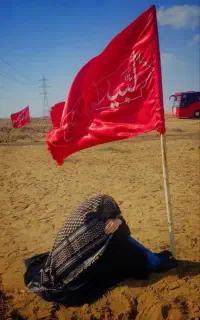 موکب حضرت رقیه س