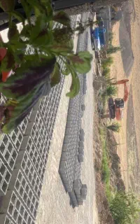 استخدام بلوک زن