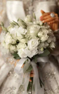 آتلیه تخصصی عروس شرایط پرداخت ویژه اقساط