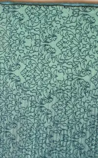 پادری نو نو