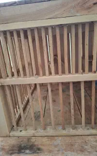 فروش قفس پرنده