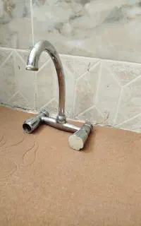 شیر دسشور سالم