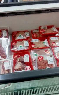 فروش انواع مرغ و ماهی و گوشت قرمز