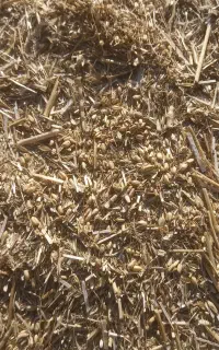 کاه گندم کاکوب کنبایین