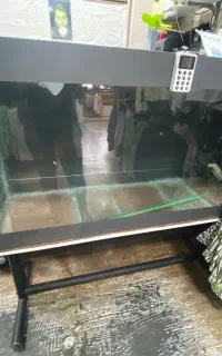اکواریوم‌