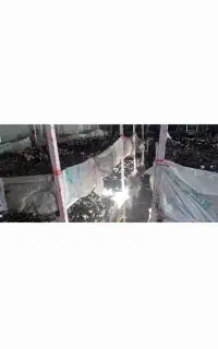 لوازم کامل برای سالن پرورش قارچ