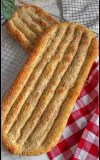 استخدام شاطر بربری