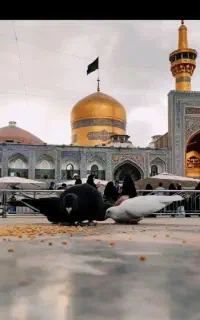 تورزیارتی مشهد حرکت۱۲خرداد ویژه عید غدیر و هر هفته