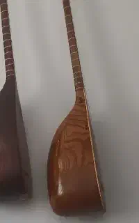 تنبور  کاسه ای