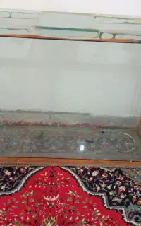 اکوتریوم بزرگ هشت میل
