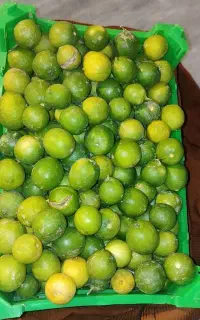 لیمو ترش کیلو 160