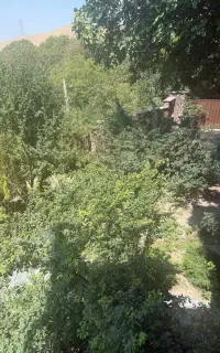 کارگر نظافتی