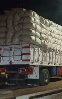 فروش و ارسال کاه گندم نرم دیمی