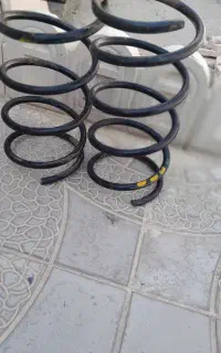 فنرلول و طلق پارس