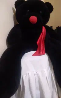 خرس بزرگ