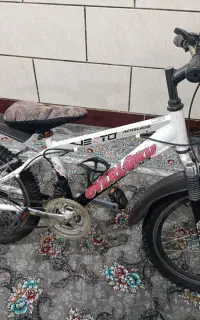 دوچرخه 20 در حد