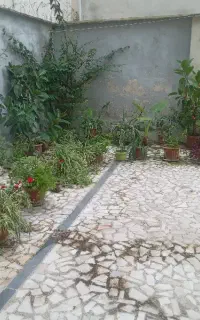 انجام کارهای منزل بابهترین نحو  دو نفر خانم و آقا