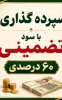 جذب سرمایه گذار، سود تضمینی 60%