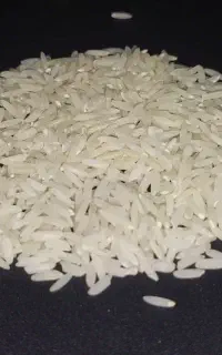 برنج هاشمی امساله