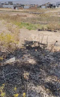 فروش زمین مسکونی روستای باباقلی