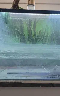 آکواریوم شیشه
